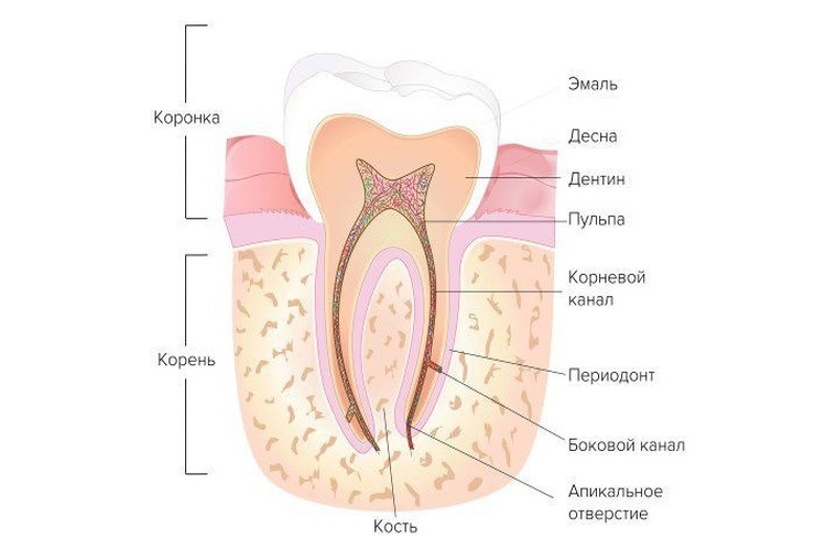 как восстановить эмаль на зубах